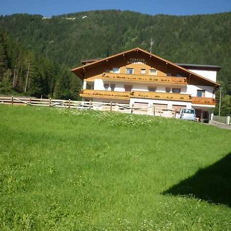 Pension Wiesenhof Campo di Trens Exterior foto